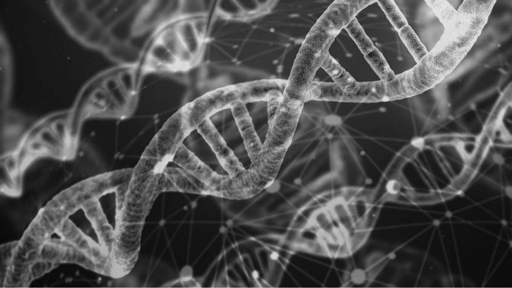 DNA Strand Methylation