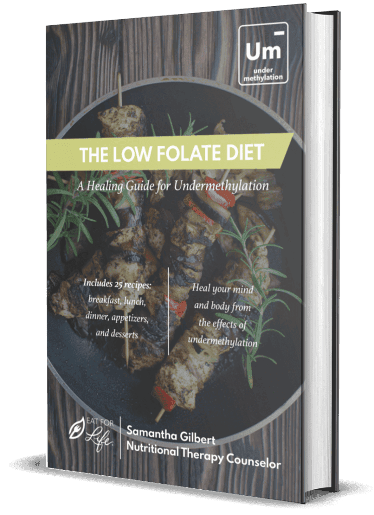 The Low Folate Diet Cookbook A Healing Guide for Undermethylation