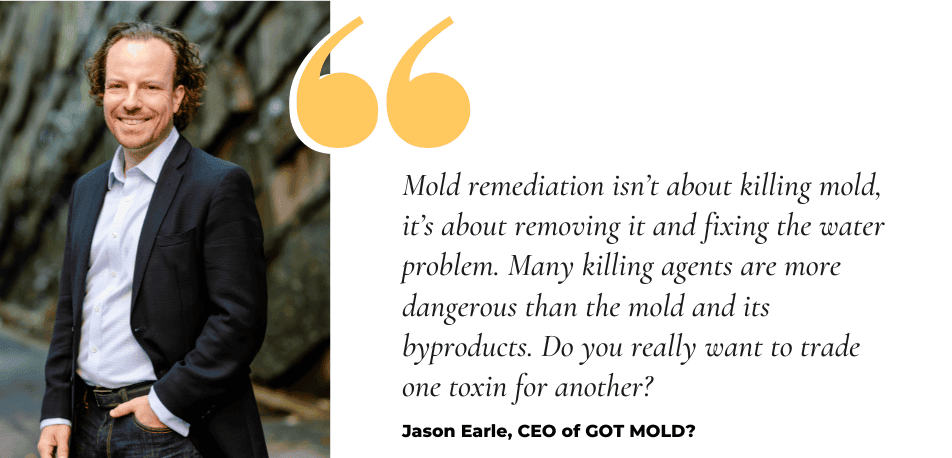 Mold remediation expert, Jason Earle