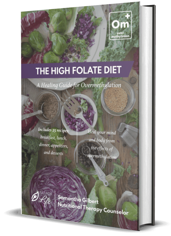The High Folate Diet Cookbook