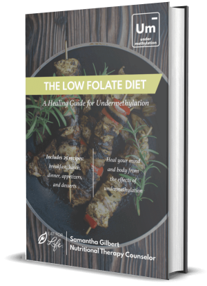 The Low Folate Diet Cookbook (PDF Download)