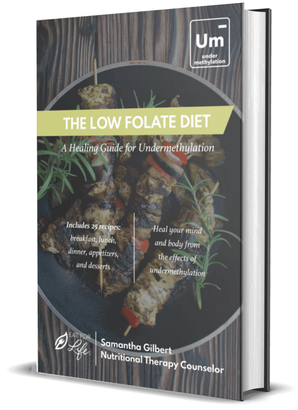 The Low Folate Diet Cookbook (PDF Download)
