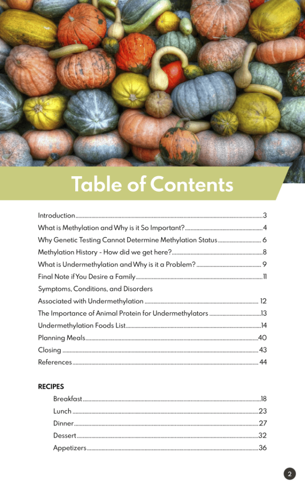 The Low Folate Cookbook Table of Contents