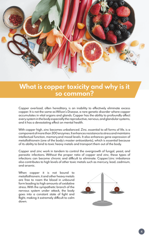 The Low Copper Diet Cookbook What is Copper Toxicity?