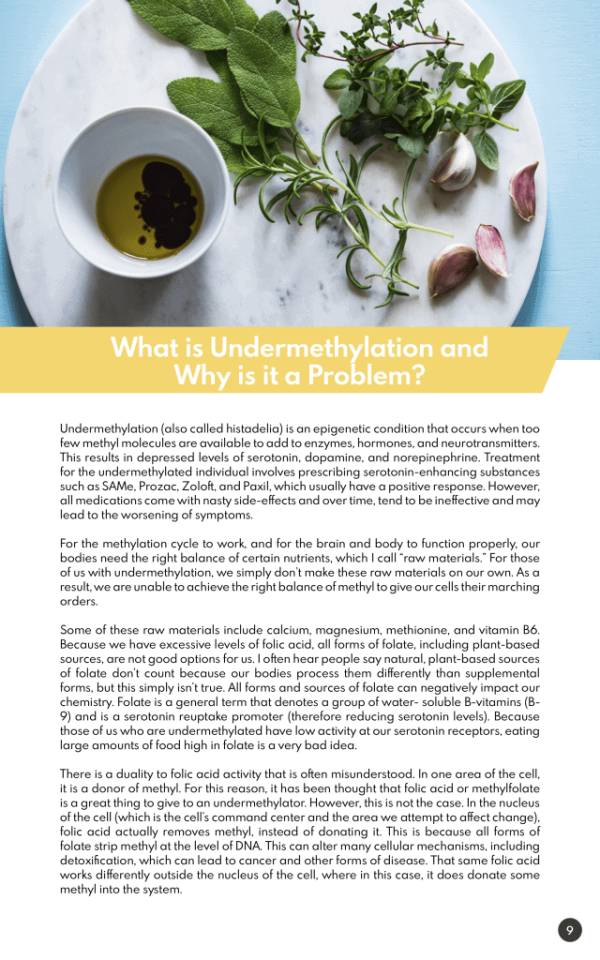 The Low Folate Cookbook What is Undermethylation?