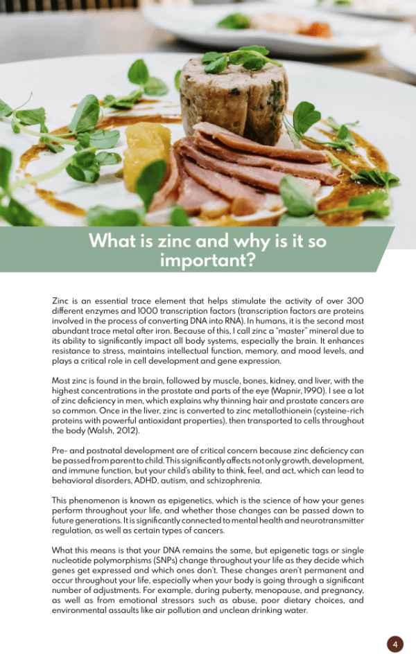 The High Zinc Diet Cookbook What is Zinc?