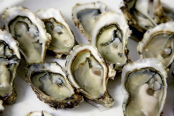 Oysters The Ultimate Source of Zinc