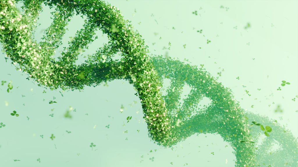 DNA double helix structure made of green leaves on a soft green background. Methylation issues is something Eat for Life specializes in.
